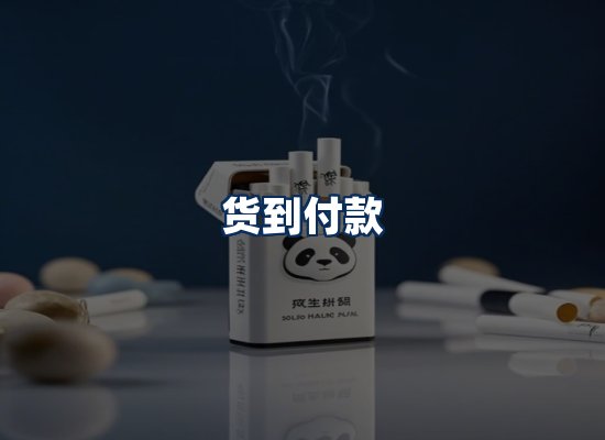 专业团队办公环境